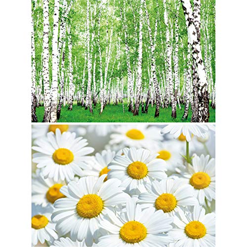 GREAT ART Set de 2 Posters XXL – Prado y Bosque de Verano - Bosque de abedules y Margaritas Naturaleza Paisaje Flores Primavera Flor decoración Foto (140 x 100 cm)