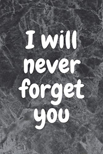 I will never forget you: Shit I can't remember: Internet ID Password Keeper Address Logbook Passkey Record Journal Notebook Organizer Men, Women ... Login ID Logbook Journal Organizer Series)