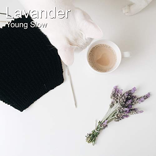 Lavander