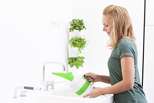 minigarden Watering Can, 2.5 L, Diseño Elegante Que Permite Regar y Nutrir Las Plantas de Forma Cómoda y Precisa, Largo Ciclo de Vida, Incluidas Muestras Gratuitas de Nutrientes para Plantas