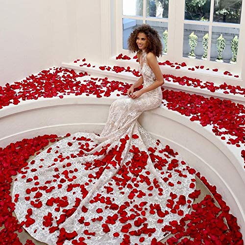 Naler 2000 Piezas de pétalos de Rosa de Seda Artificial Rojos para el día de San Valentín, proponer, Flores de Boda, Confeti, dispersión de Mesa