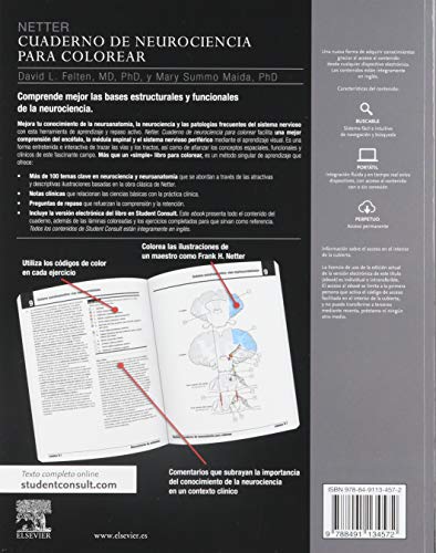 Netter. Cuaderno De Neurociencia Para Colorear