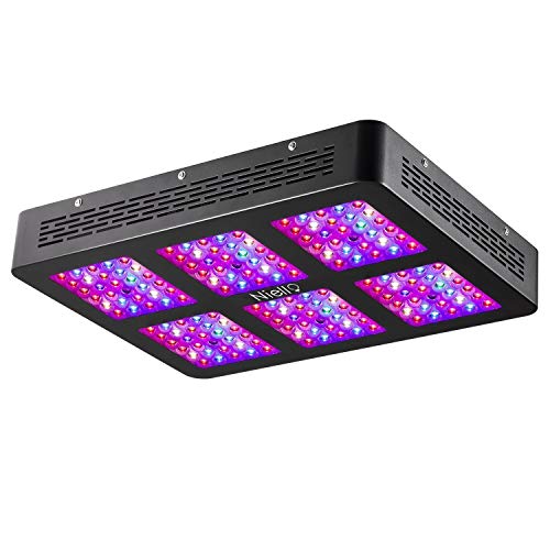 Niello Lente Óptica Dual Serie 900W. Luces LED para el crecimiento de las plantas. Espectro completo para plantas de interior para conseguir crecimiento y floración (dos interruptores,12-bandas）