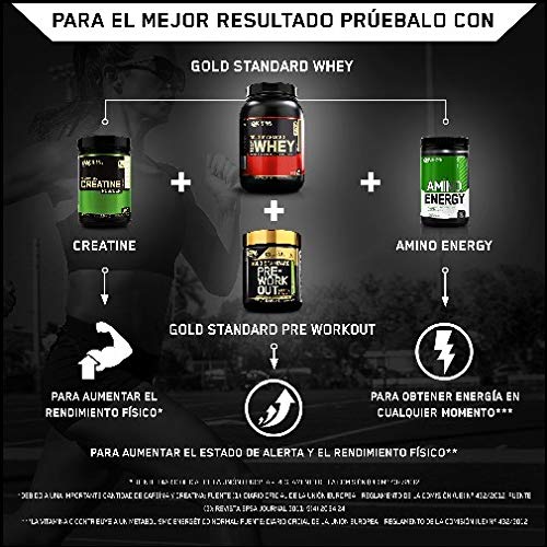 Optimum Nutrition ON Gold Standard 100% Whey Proteína en Polvo Suplementos Deportivos, Glutamina y Aminoacidos, BCAA, Extremo Chocolate, Leche, 28 Porciones, 900 g, Embalaje Puede Variar