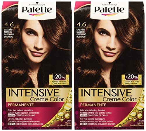 Palette Intense - Tono 4.6 Castaño Marrón - 2 uds - Coloración Permanente - Schwarzkopf