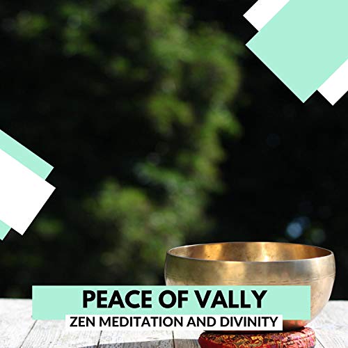 Peace Of Vally - Zen Meditation And Divinity