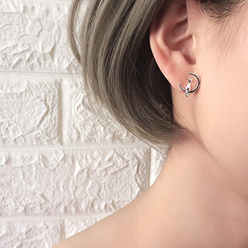 Pendientes Mujer Plata de Ley 925, Pendientes Gato y Luna, Pendientes de Gato Plata para Mujer/Niña, Pendientes de Plata Mujer Tous de Aros