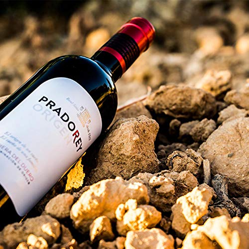 PRADOREY Roble Origen-Vino tinto - Roble- Ribera del Duero - 95% Tempranillo, 3% Cabernet sauvignon, 2% Merlot - Vino joven con ligero paso por barrica y tinaja - 6 Bot-0,75 L