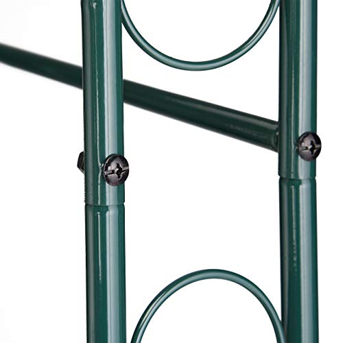 Relaxdays, Verde Arco con Puerta para Rosas, Soporte para trepadoras, Metal, Resistente, 215 x 115 x 43 cm