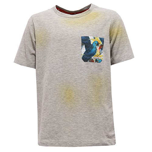 Roberto Cavalli 0913W Maglia Bimbo Grey/Yellow Cotton t-Shirt Kid [5 Years]