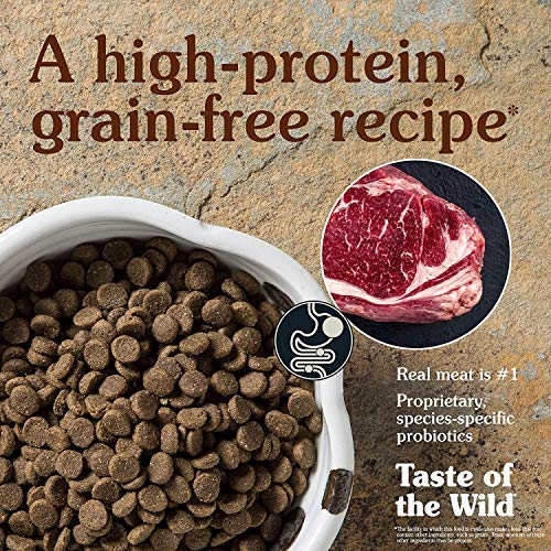 Taste Of The Wild pienso para perros con Bisonte y Venado asados 12,2 kg High prairie