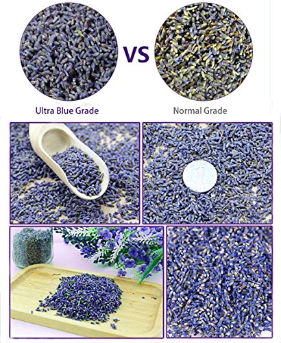 TooGet Fragante Flores Secas de Lavanda, Natural Brotes Secos de Lavanda, 100% Puro Lavanda Seca, Grado Superior - 225g