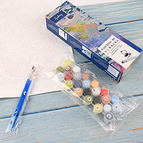 Tyrkuiy Kits de Pintura para Bricolaje por números, Pintura al óleo, Dibujo, Pinturas acrílicas, Lienzo con 3 Pinceles de 16 x 20 Pulgadas (sin Marco)