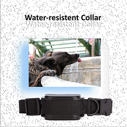 Wodondog Collar de Adiestramiento para Perros Recargable y Resistente al Agua con vibración y Sonido, Rango Remoto de 300 Metros