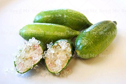 50pcs de frutas tropicales Semillas Semillas Finger Limes cítricos para Semillas Jardín Balcón plantas raras Bonsai fruta de árbol fruta Sabor Especial 1