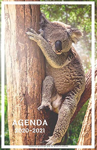 Agenda 2020 2021: Agenda Scolaire Koala | Etudiante Collège Lycée Université ( Planification journalière de Septembre 2020 à Août 2021)