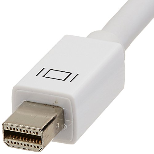 AmazonBasics - Adaptador de pantalla de Mini DisplayPort a VGA, compatible con Apple