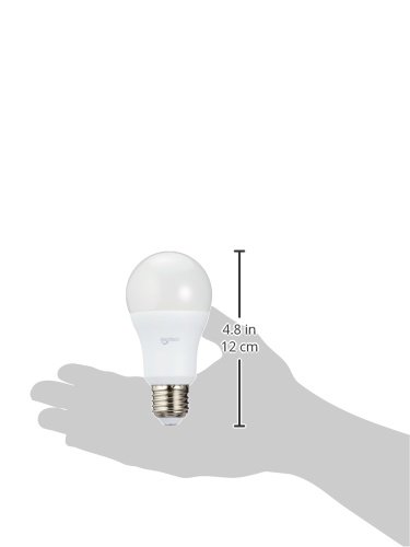 AmazonBasics Bombilla LED Esférica E27, 10W (equivalente a 75W), Blanco Frío - 2 unidades