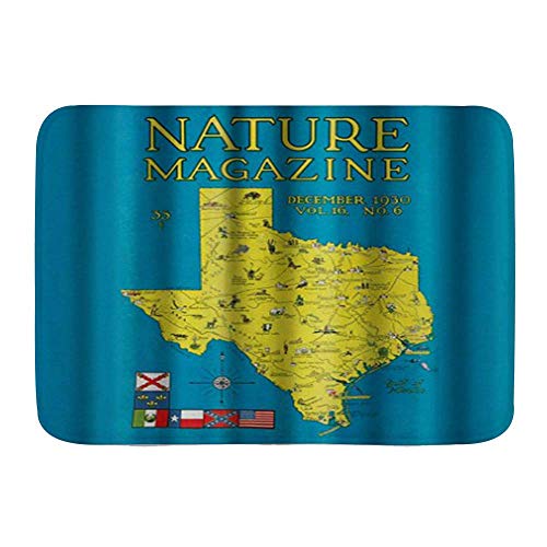 AoLismini Alfombrilla de baño, Revista Nature - Mapa detallado de Texas te con ots escénicas para visitar, Alfombrillas de baño Ultra Suaves absorbentes Antideslizantes