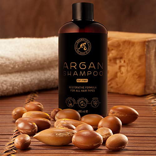 Argan Oil Champu para Hombres 480ml - Shampoo con Aceite de Argán Natural y Extractos de Hierbas - para Todo Tipo de Cabello - Fórmula Reparadora Especial para Hombres - Cuidado del Cabello