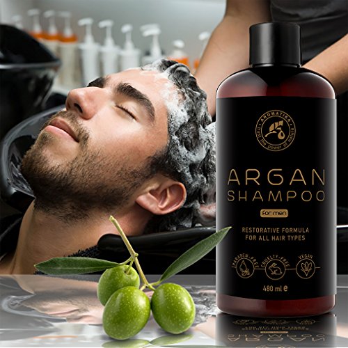 Argan Oil Champu para Hombres 480ml - Shampoo con Aceite de Argán Natural y Extractos de Hierbas - para Todo Tipo de Cabello - Fórmula Reparadora Especial para Hombres - Cuidado del Cabello