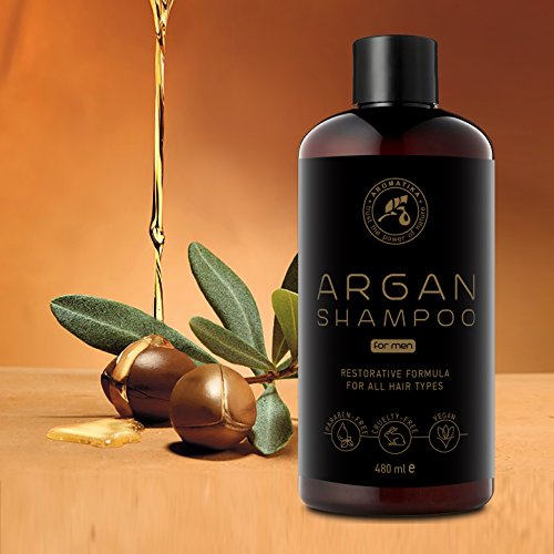 Argan Oil Champu para Hombres 480ml - Shampoo con Aceite de Argán Natural y Extractos de Hierbas - para Todo Tipo de Cabello - Fórmula Reparadora Especial para Hombres - Cuidado del Cabello