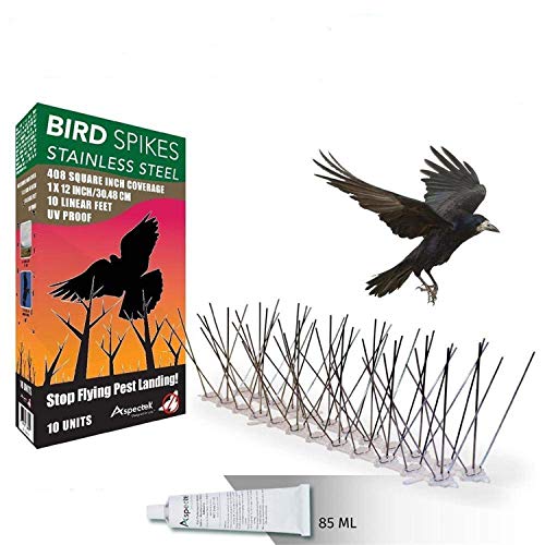 Aspectek Sistema Anti Pájaros de Acero Inoxidable - 10 Hileras de Púas Antipalomas Con Base de Policarbonato Para Control de Aves y Palomas (con Transparent Silicone Glue)