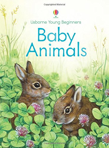 Baby Animals (Young Beginners)