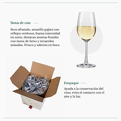 Bag in Box verdejo 15 Litros Vino Blanco Verdejo seco afrutado con aromas frutales Paz VI