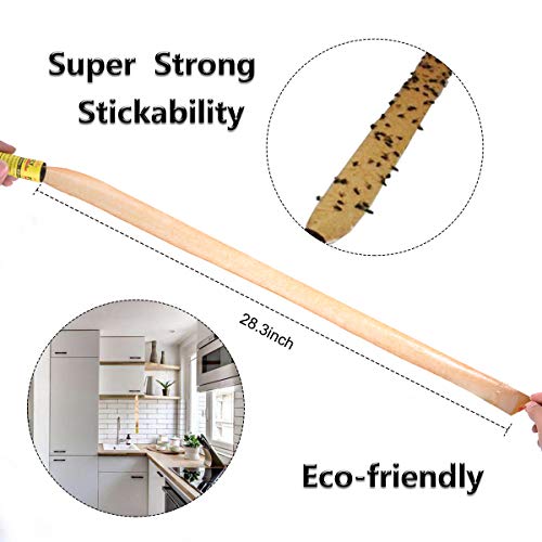 BaiYou Atrapa Moscas Adhesivo Trampa Moscas Fruta 16 Rollos Atrapa Moscas Tiras Atrapamoscas Atrapa Mosquitos para Invernadero Jardin Exterior Interior No Tóxico