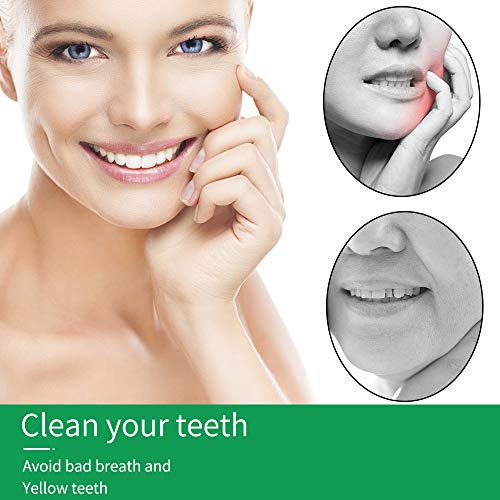 BEYAOBN Hilo dental 300 Piezas para interdental oral limpieza menta Palillos de hilo dental Plástico con estuches portátiles perfectos para la familia, hotel, viajes