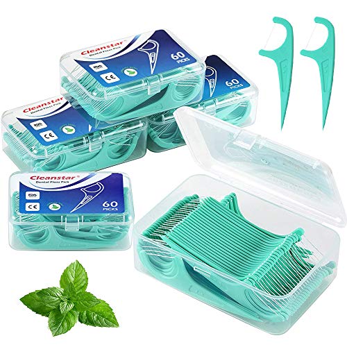 BEYAOBN Hilo dental 300 Piezas para interdental oral limpieza menta Palillos de hilo dental Plástico con estuches portátiles perfectos para la familia, hotel, viajes