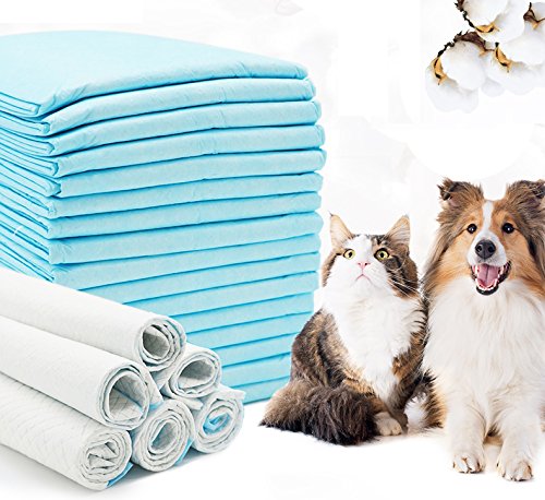 BPS Empapadores de Entrenamiento XL para Perros Gatos Perfumes con Feromonas para Atraer los Cachorros Tamaño XL (20pcs 60*90 cm) BPS-2170*1