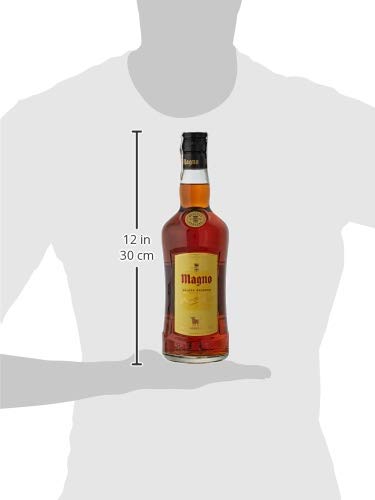 Brandy Jerez Solera Reserva Magno - 1 botella de 70 cl