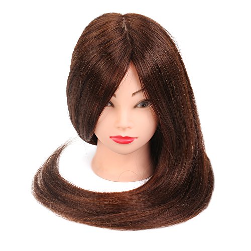 Cabeza de Maniquí Neverland 61 cm 60% Cabello Humano Real Practicas Formación Muñeca de la Cosmetología práctica maniquí para Peluquería con Soporte + Accesorios de Peinado DIY