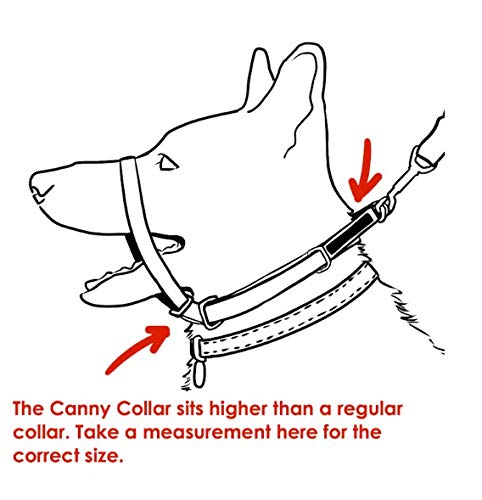 Canny Collar: Collar de Perro Entrenamiento y Collar Antitirones para Perros Grandes o Pequeños, ayuda simple y efectiva con el entrenamiento del perro y evita que los perros tiren de la correa (Negro)