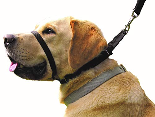 Canny Collar: Collar de Perro Entrenamiento y Collar Antitirones para Perros Grandes o Pequeños, ayuda simple y efectiva con el entrenamiento del perro y evita que los perros tiren de la correa (Negro)