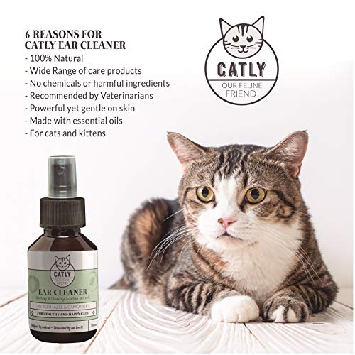 Catly Limpiador del oído para el Gato | Bio-Aerosol de Hamamelis 100Ml | Champú seco Alternativa