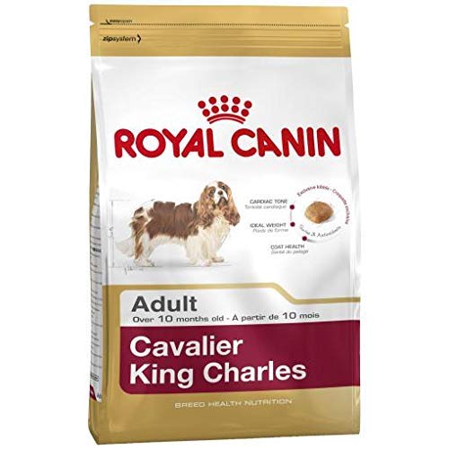 Cavalier King Charles - Saco de 3 kg para adulto