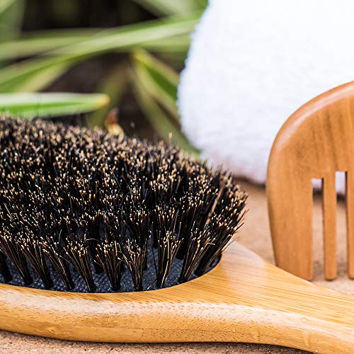 Cepillo de cerdas de pelo de jabalí, para conseguir un acondicionamiento natural del pelo, peine de madera para desenredar el pelo, este juego deja el pelo brillante y sedoso