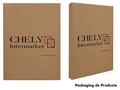 Chely Intermarket Marco Clip A4 de Vidrio | Soporte sin Marco para fotografías, Posters, certificados y Recuerdos. Complemento Ideal para Colgar en la Pared(300-A4-0,40)