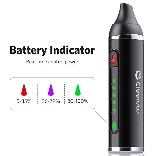 Ciberate Pluma de vaporizador de hierbas secas, cámara de cerámica grande, batería de 2200 mAh, configuración de control de temperatura Smart 5, vaporizador de hierbas portátil vapor puro sin nicotina