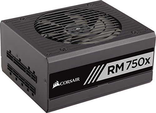 Corsair RM750x - Fuente de alimentación (totalmente modular, 80 Plus Gold, 750 W, EU) negro