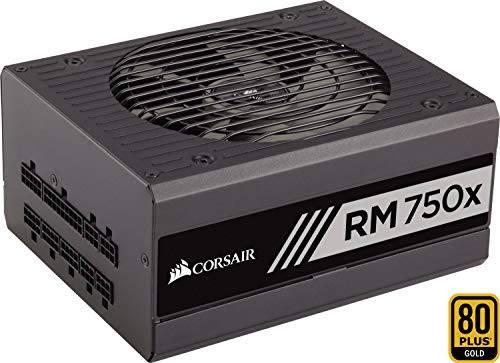 Corsair RM750x - Fuente de alimentación (totalmente modular, 80 Plus Gold, 750 W, EU) negro