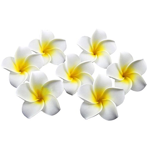 Decoración de boda HugeStore, 100 piezas de 6 cm de diámetro, Frangipani Plumeria, pétalos artificiales de flores de Hawái