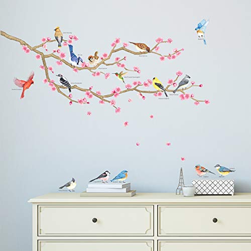 DECOWALL DWL-2009 Aves de jardín y flor de cerezo Vinilo Pegatinas Decorativas Adhesiva Pared Dormitorio Salón Guardería Habitación Infantiles Niños Bebés