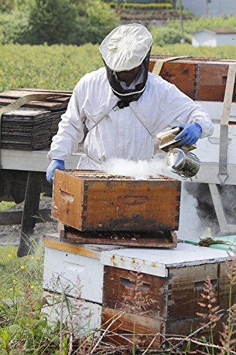 Delaman Bee Hive Smoker Acero Inoxidable Apicultura Fumador con Calor Escudo Protección Tabla, Apicultura Suministros