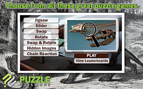 Dinosaur Jigsaw Puzzle Games