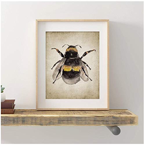 DLFALG Bumble Bee Pintura de acuarela Impresión Insecto Naturaleza Granja Arte de la pared Imagen Entomología Póster Artístico Decoración de la pared de la habitación de los niños 40x50cm sin marco