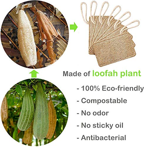 Esponjas de luffa, Esponjas orgánicas naturales para lavar platos Paquete de 6,exfoliante de lufa orgánica Fabricado de lufa egipcia superior/100% orgánico, biodegradable y ecológico